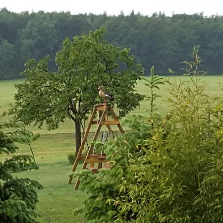 Das Nest *